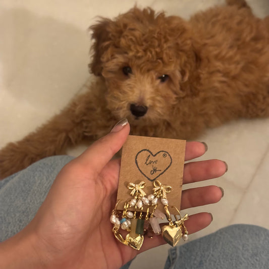 The Charm Bar – Set of 10 Earrings