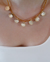 Sun kissed shell - Necklace