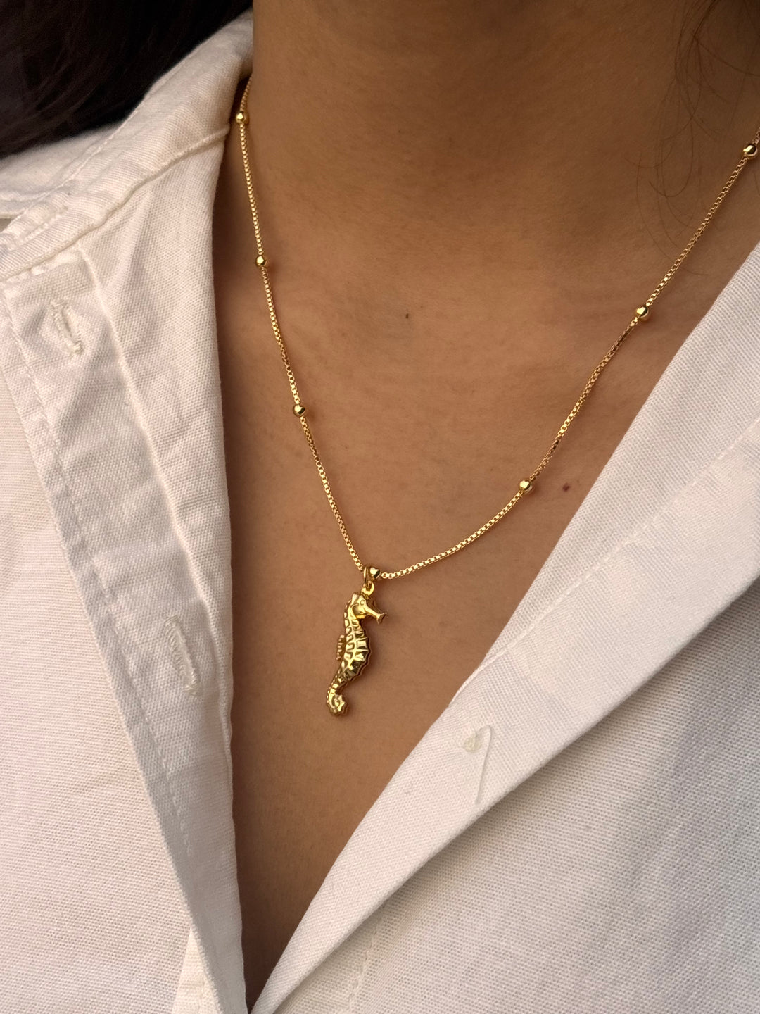 Seahorse Charm Necklace